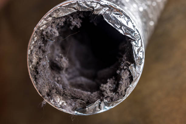 Best HVAC System Cleaning  in Mertzon, TX