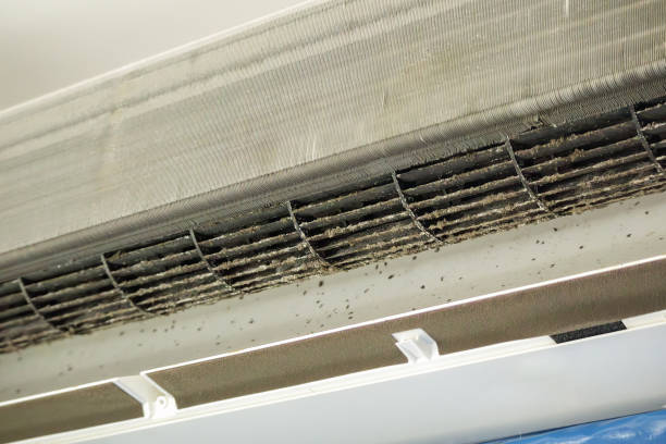 Best Affordable Air Duct Cleaning  in Mertzon, TX